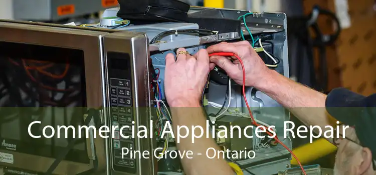 Commercial Appliances Repair Pine Grove - Ontario