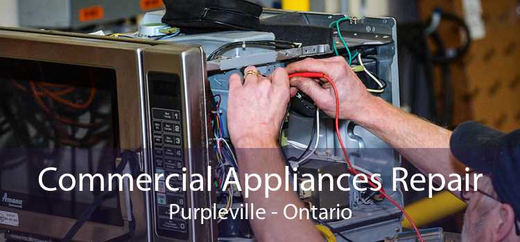 Commercial Appliances Repair Purpleville - Ontario