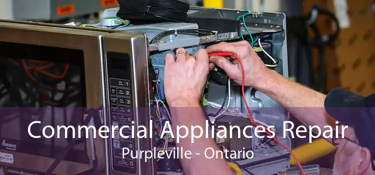 Commercial Appliances Repair Purpleville - Ontario