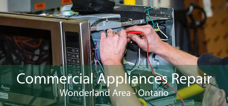 Commercial Appliances Repair Wonderland Area - Ontario