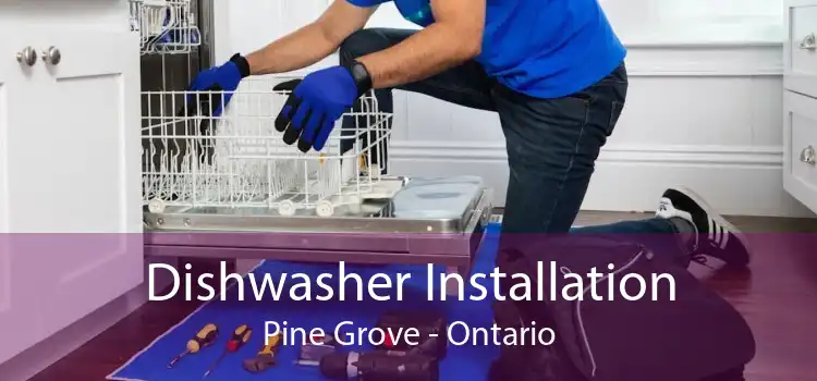 Dishwasher Installation Pine Grove - Ontario