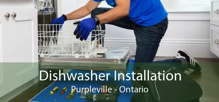 Dishwasher Installation Purpleville - Ontario