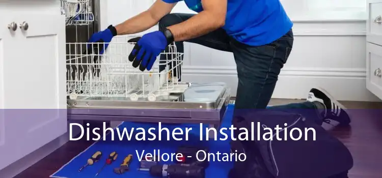 Dishwasher Installation Vellore - Ontario