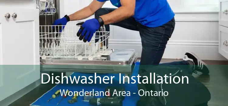 Dishwasher Installation Wonderland Area - Ontario