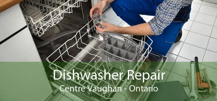Dishwasher Repair Centre Vaughan - Ontario