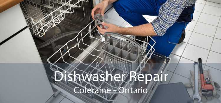 Dishwasher Repair Coleraine - Ontario