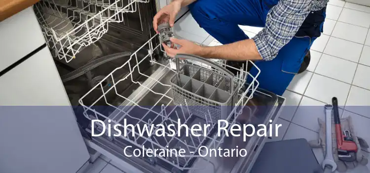 Dishwasher Repair Coleraine - Ontario