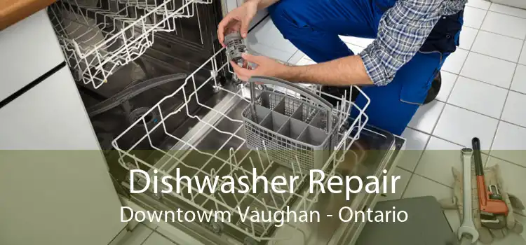 Dishwasher Repair Downtowm Vaughan - Ontario