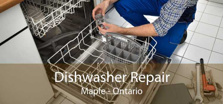 Dishwasher Repair Maple - Ontario