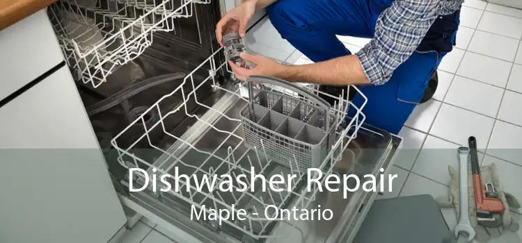 Dishwasher Repair Maple - Ontario