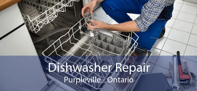 Dishwasher Repair Purpleville - Ontario