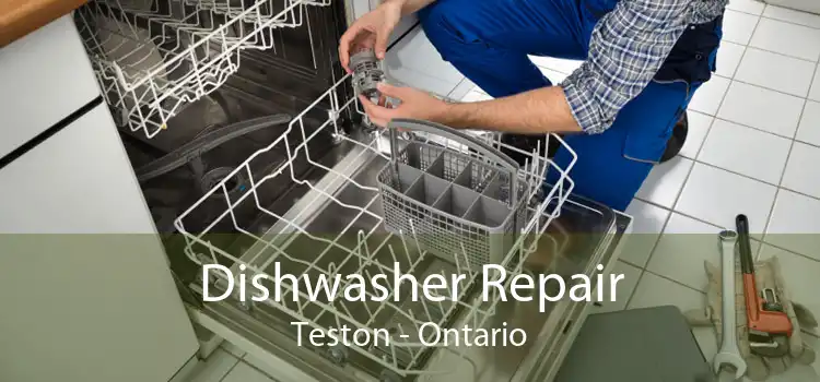 Dishwasher Repair Teston - Ontario