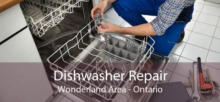 Dishwasher Repair Wonderland Area - Ontario