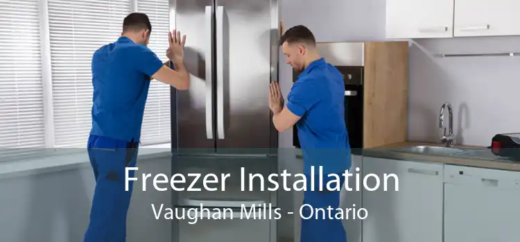 Freezer Installation Vaughan Mills - Ontario