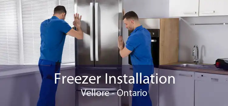 Freezer Installation Vellore - Ontario