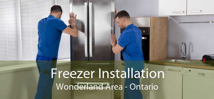 Freezer Installation Wonderland Area - Ontario
