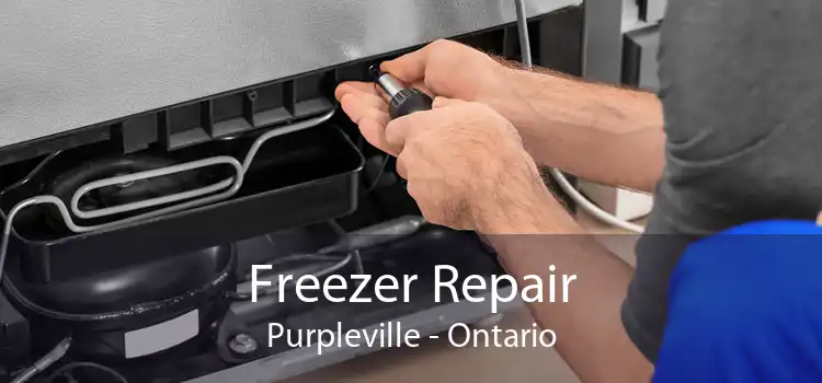 Freezer Repair Purpleville - Ontario