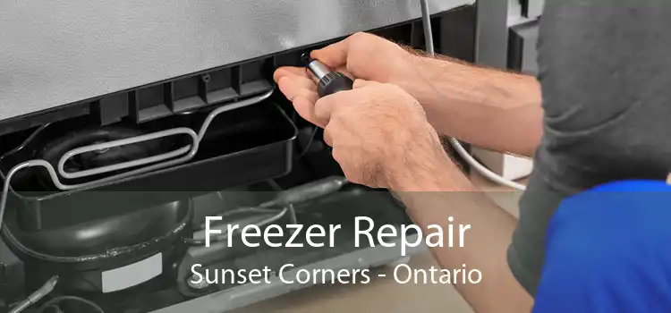 Freezer Repair Sunset Corners - Ontario