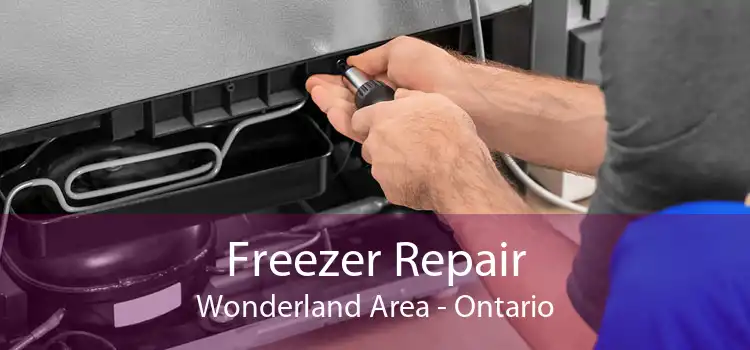 Freezer Repair Wonderland Area - Ontario