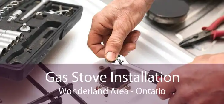 Gas Stove Installation Wonderland Area - Ontario