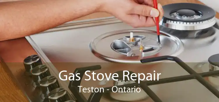 Gas Stove Repair Teston - Ontario