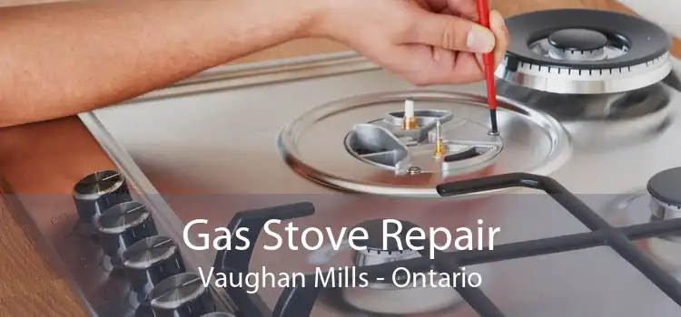 Gas Stove Repair Vaughan Mills - Ontario