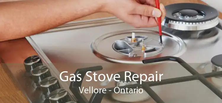 Gas Stove Repair Vellore - Ontario