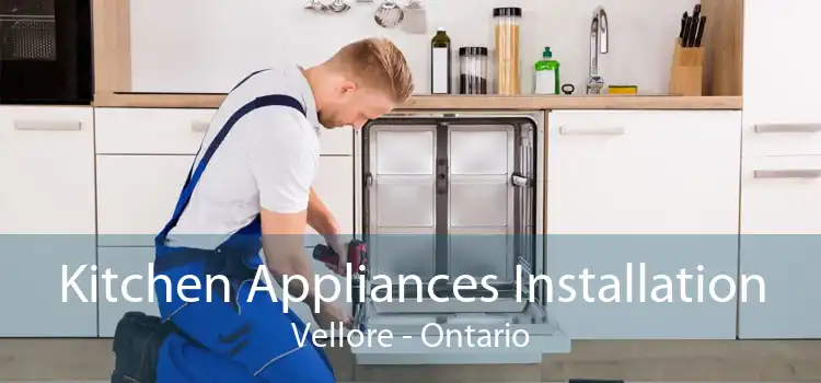 Kitchen Appliances Installation Vellore - Ontario