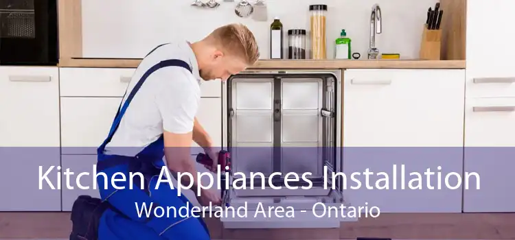 Kitchen Appliances Installation Wonderland Area - Ontario