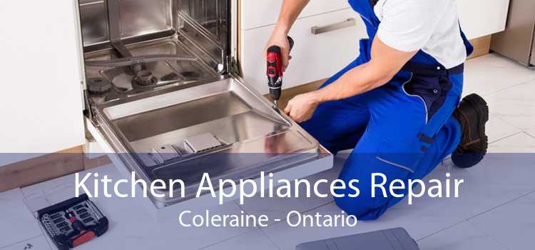 Kitchen Appliances Repair Coleraine - Ontario