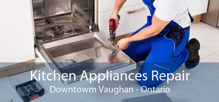 Kitchen Appliances Repair Downtowm Vaughan - Ontario