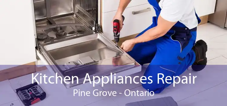 Kitchen Appliances Repair Pine Grove - Ontario
