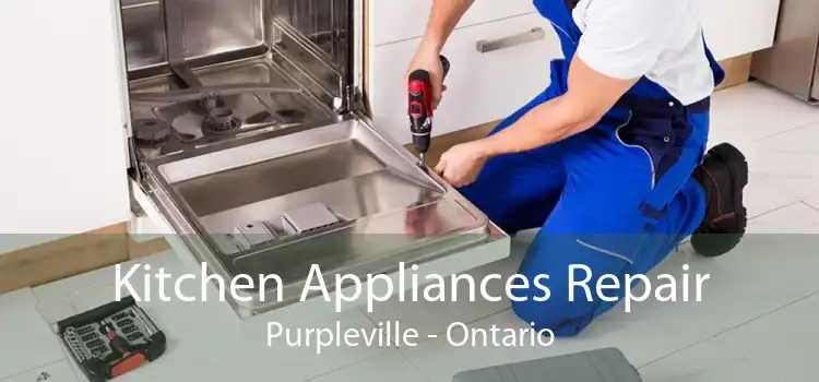 Kitchen Appliances Repair Purpleville - Ontario