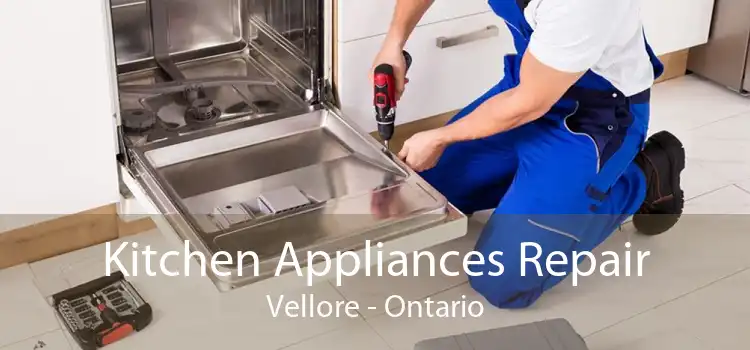 Kitchen Appliances Repair Vellore - Ontario