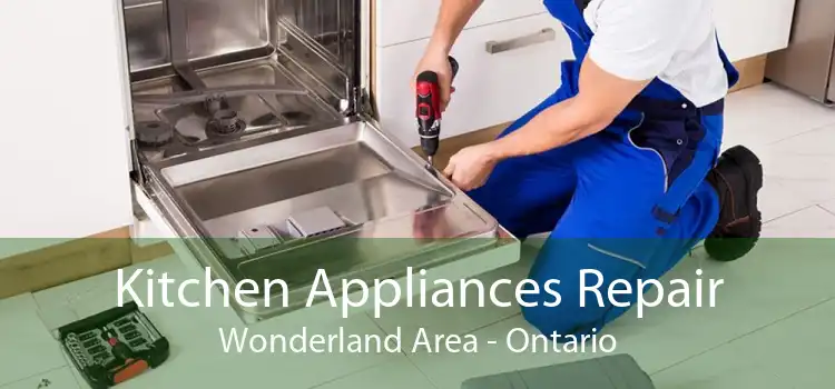 Kitchen Appliances Repair Wonderland Area - Ontario