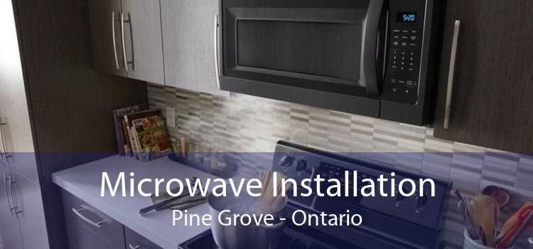 Microwave Installation Pine Grove - Ontario