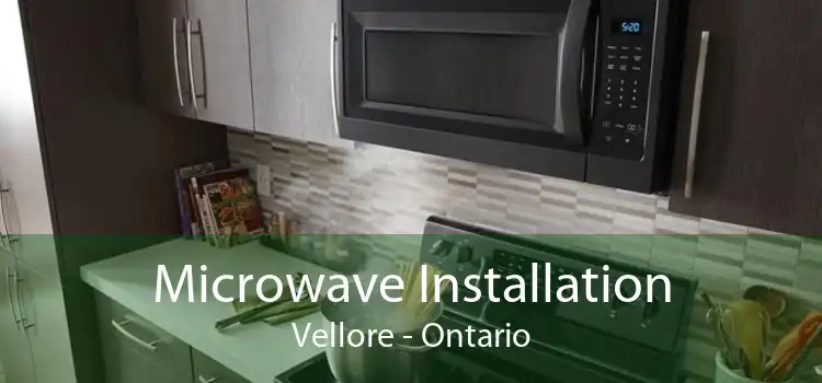 Microwave Installation Vellore - Ontario