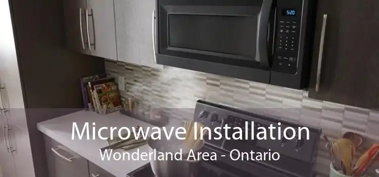 Microwave Installation Wonderland Area - Ontario