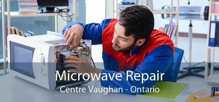 Microwave Repair Centre Vaughan - Ontario