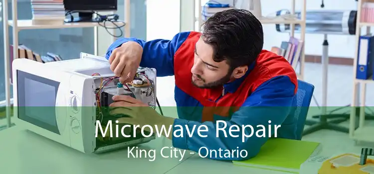 Microwave Repair King City - Ontario