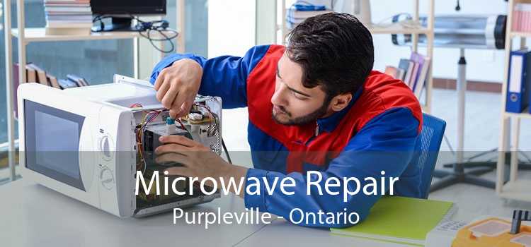 Microwave Repair Purpleville - Ontario