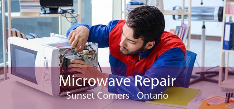 Microwave Repair Sunset Corners - Ontario