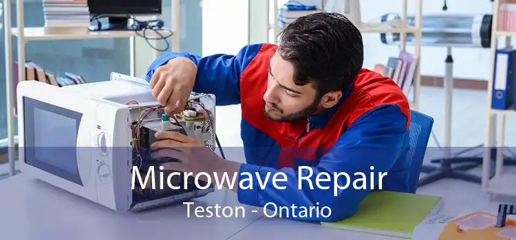 Microwave Repair Teston - Ontario