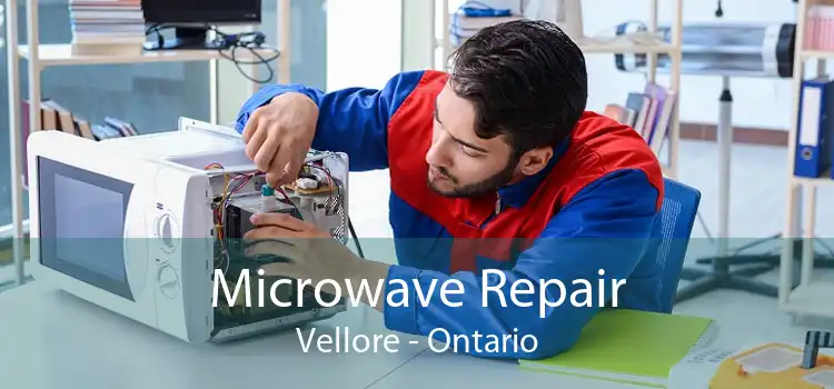 Microwave Repair Vellore - Ontario