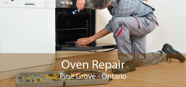 Oven Repair Pine Grove - Ontario