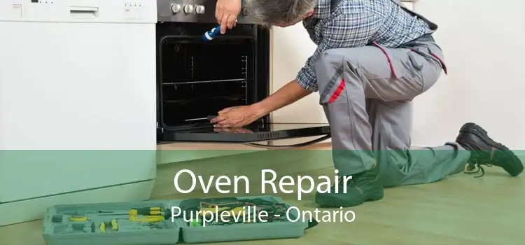 Oven Repair Purpleville - Ontario