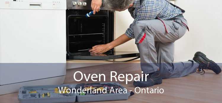 Oven Repair Wonderland Area - Ontario