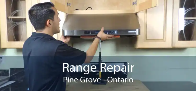 Range Repair Pine Grove - Ontario