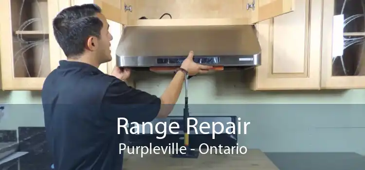 Range Repair Purpleville - Ontario