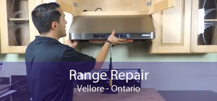 Range Repair Vellore - Ontario